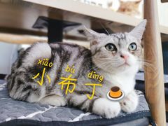 -平行世界·猫咖(首经贸店)