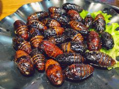-大壮家原味烤肉(兴华北街店)