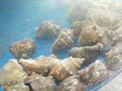 -晓伟海鲜家常菜
