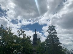 -有栖山 清光院 清水寺