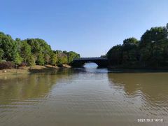 -上海海湾国家森林公园