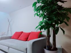 -西地微美纹绣中心