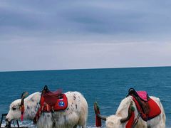 -青海湖国家重点风景名胜区
