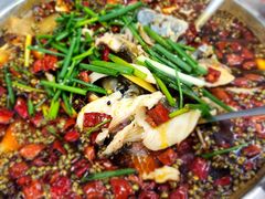 -乡土特色.冷锅鱼.牦牛肉汤锅