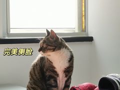 -西班牙语王国