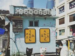 -猫咪博物馆(顶澳仔猫街店)