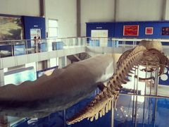 android_upload_pic-上海海洋大学鱼文化博物馆(军工路校区)