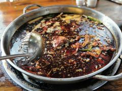 火锅兔-中和远东火锅兔(老店)