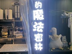 -猫的魔法密林(衣裳街店)