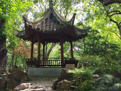 -秋霞圃