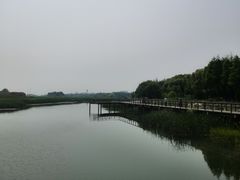 -太湖湖滨国家湿地公园-停车场