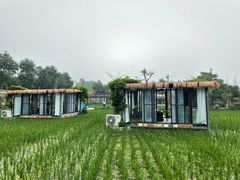 -洪湖家庭农场·团建·露营·会议