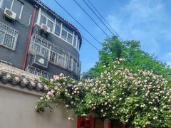 -东仓门早市