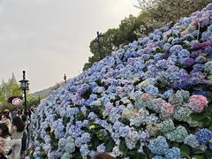 -苏州上方山国家森林公园