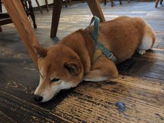 -三目仓咖啡(贤南路店)