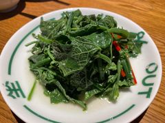 清炒丝瓜尖-一坐一忘云南菜(嘉里中心店)