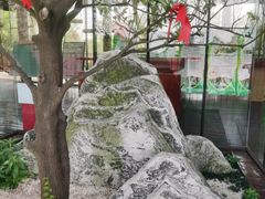 -南京市无想山景区