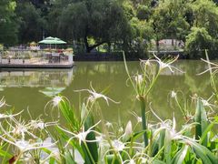 -人民公园(罗湖区)