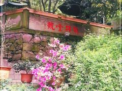 -龙井壹号·茶缘山景宴(龙井村店)