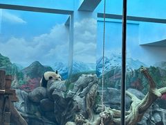 -武汉动物园