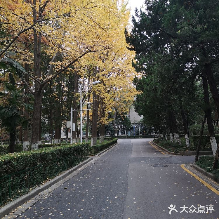 静静得在这迷人の校园走上一圈，真的是心旷神怡啊