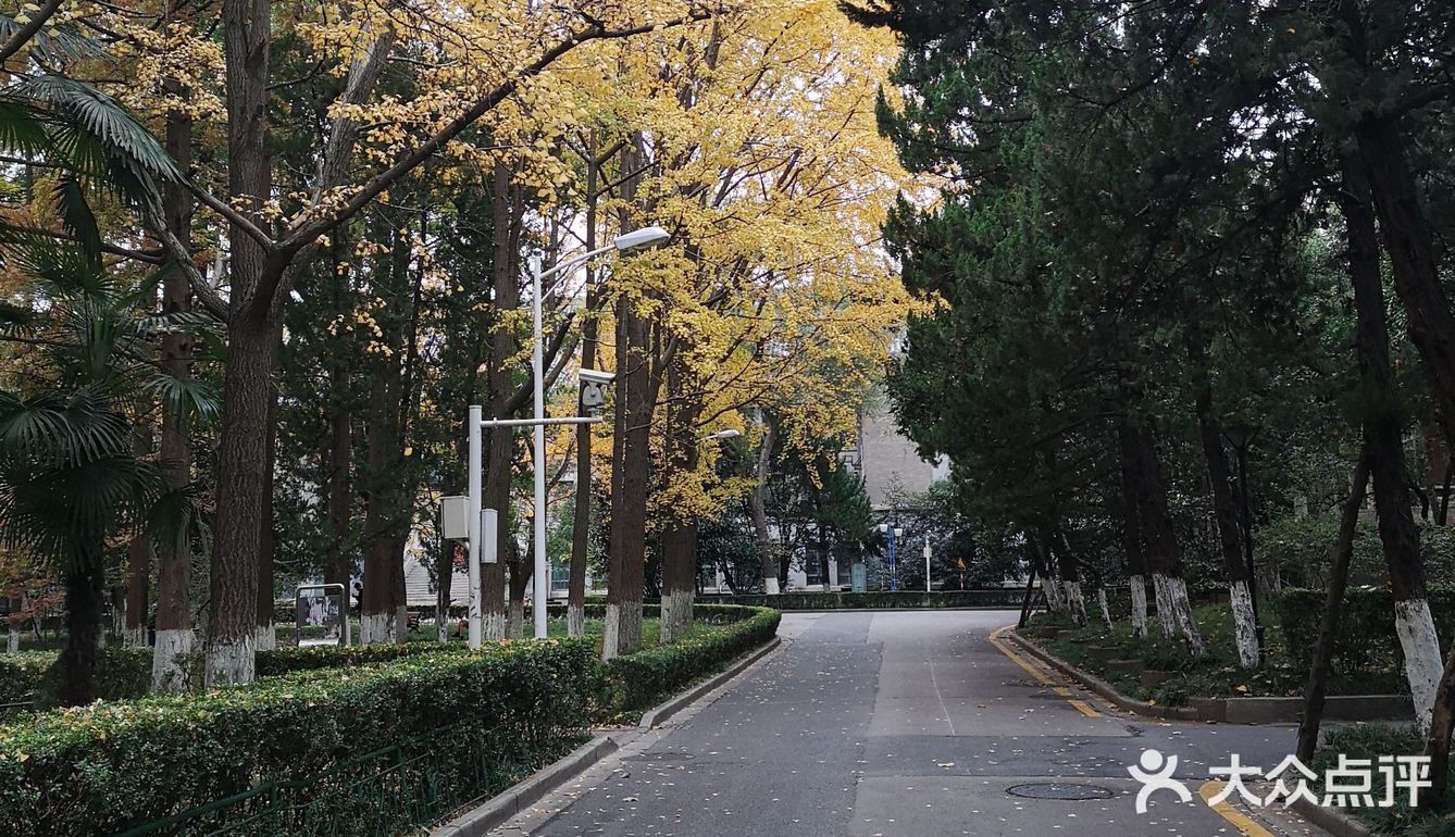静静得在这迷人の校园走上一圈,真的是心旷神怡啊