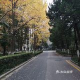 静静得在这迷人の校园走上一圈,真的是心旷神怡啊