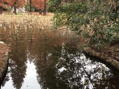 -东湖磨山景区