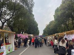 -高东镇樱花园