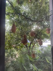 点击看大图 -金芙美月子中心(财富别墅店)