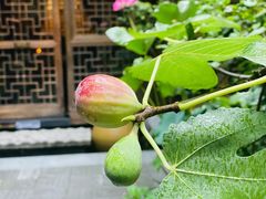 -南堂小馆·川菜馆(德商国际店)