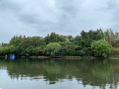 -东平国家森林公园