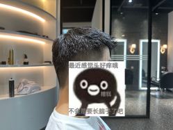 -丝语萱形象