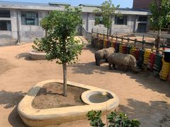 -西霞口神雕山野生动物世界