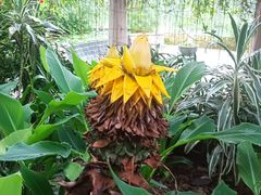 -华南国家植物园-售票处