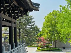 -清凉寺
