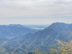 -大岭沟猕猴桃谷风景区