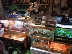 零售区-Rabbit Cafe私房西餐甜点咖啡(栖霞路店)