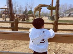 -大连森林动物园