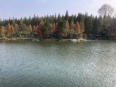 -上海怡沁园度假酒店