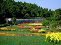 -中国香山·寿香谷