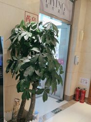 点击看大图 -北京俪婴妇产医院(朝阳大悦城店)