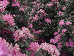 -名花谷生态庄园