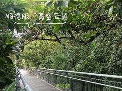 -佛山华盖山公园