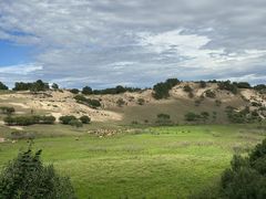 -塞罕坝国家级自然保护区