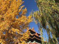 -东华门大街小区