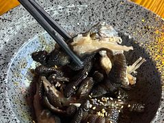 -台山侨雅海鲜粥底火锅(台山侨雅花苑店)