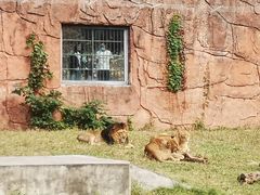 -无锡动物园·太湖欢乐园