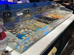 -加餐海鲜自助(宝龙一城店)