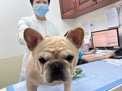 -美联众合动物医院·24h转诊中心